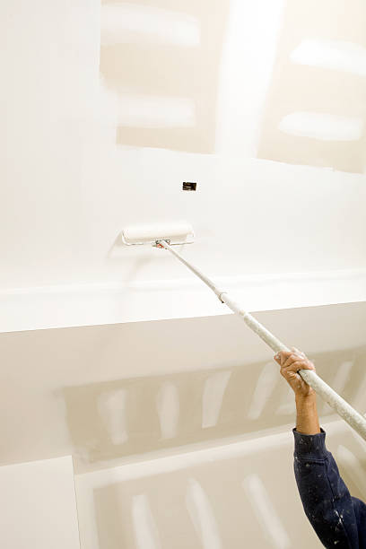 Best Mold Odor Removal Services  in Kidron, OH