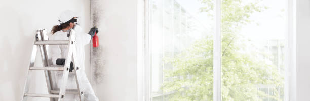 Best Real Estate Mold Inspection  in Kidron, OH
